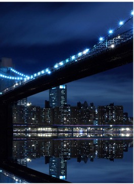 Led flood light for brige